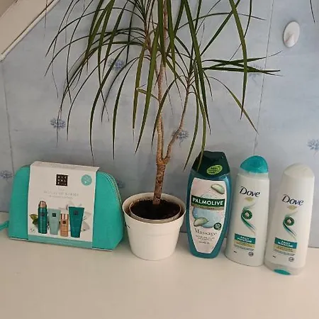 Apartment Bubbles Breakfast And