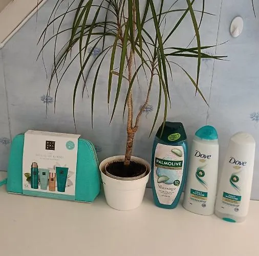 Leilighet Bubbles Breakfast And